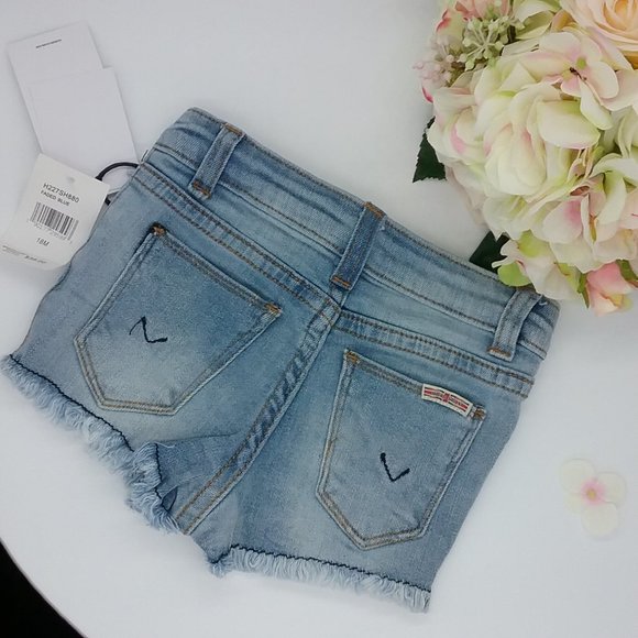 Hudson Flower Field Embroidered Denim Shorts - Picture 2 of 13